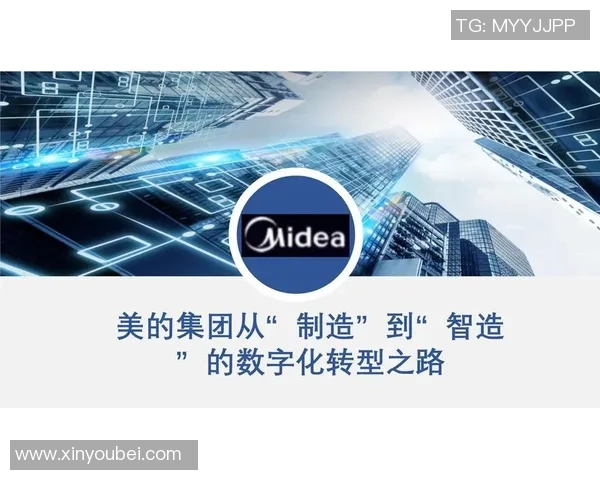 广州羽毛球队转型之路:得失与挑战的深度分析 广州羽毛球队转型之路:得失与挑战的深度分析